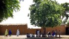 Niger youth go green for Eid to save trees